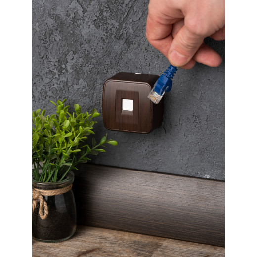 Розетка RJ-45 1-местная ОП Минск, 1А, 120В, тёмное дерево EKF