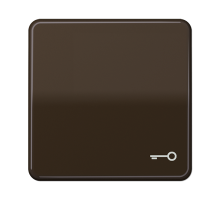 JUNG CD 500/CD plus Коричневая Клавиша 1-ая с символом КЛЮЧ