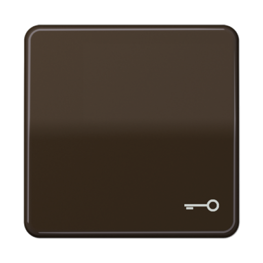 Клавиша с символом 