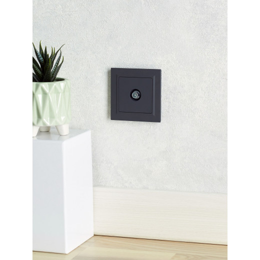 BRITE Роз. TV проходная РТВ10-0-БрГ граф. IEK