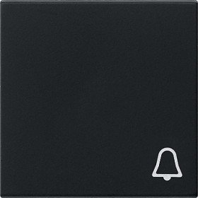 Gira Клавиша с пиктограммой 