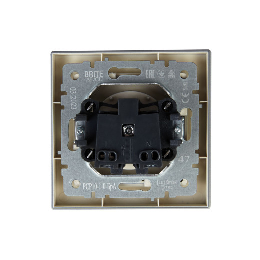 BRITE Роз. без з/к/ш 10А в сб. РСР10-1-0-БрА алюм. IEK