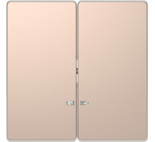 Schneider Electric Merten D-Life Шампань Клавиша 2-ая с линзой для LED модуля