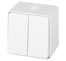 ЭРА Выключатель Эксперт 11-1504-01 двойной IP55 10АХ-250В ОУ белый