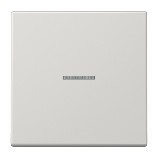 Одинарная клавиша с окошком для балансирных механизмов выключателей (кнопок), в комплекте с CD90HP (крепежный элемент), возможно IP44, дюропласт, светло-серый, LS990