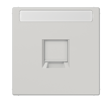 JUNG Плата (фиксация защёлкиванием) для одного модуля с полем для надписи термопласт светло-серый