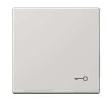 JUNG Клавиша с символом 