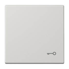 JUNG Клавиша с символом 