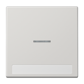 JUNG Клавиша для  выключателя с подсветкой и полем для надписи светло-серая