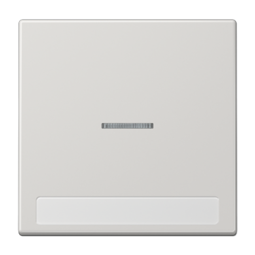 Клавиша для  выключателя с подсветкой и полем для надписи, светло-серая