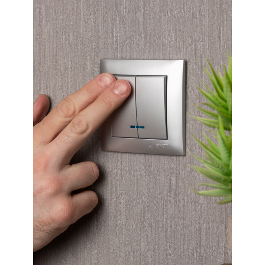 Валенсия лицевая панель выключателя 2-кл. с индикатором 10А сталь EKF PROxima