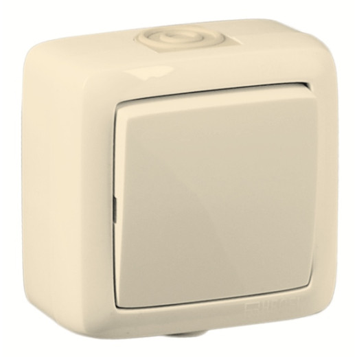 ВА10-261-01 Переключатель открытой установки, одноклавишный, брызгозащищенный, цвет слоновая кость