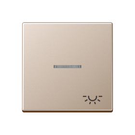 JUNG клавиша с символом 