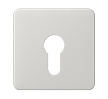 JUNG центральная плата для вставки с ключом, светло-серый