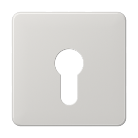 JUNG центральная плата для вставки с ключом, светло-серый