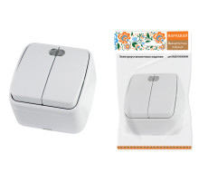 TDM Выключатель 2-кл. открытой установки с подсветкой IP20 10А, белый 