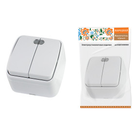 TDM Выключатель 2-кл. открытой установки с подсветкой IP20 10А, белый 