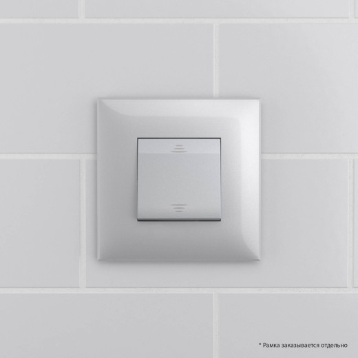 Выключатель одноклавишный в стену, Avanti, закаленная сталь