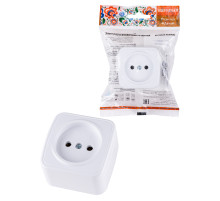 TDM Розетка 2П открытой установки IP20 10А, белая 