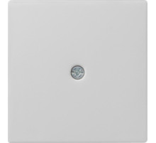 Gira Накладка розетки для подключения средств связи