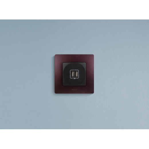 Зарядное устройство USB тип А / тип А - Legrand Etika - 3000мА 15Вт - антрацит