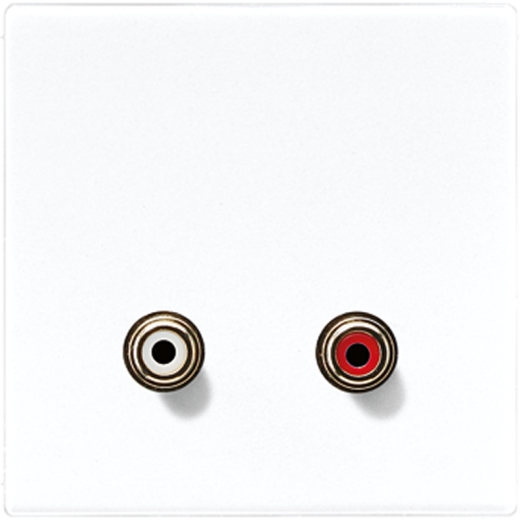 2x Cinch Audio (RCA)