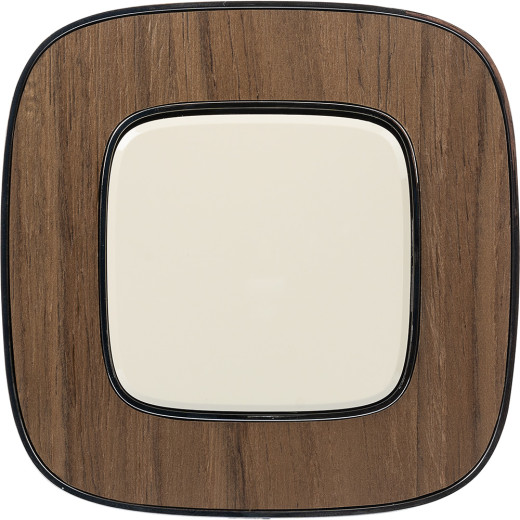 Valena ALLURE.Выключатель 10АХ 250В с лицевой панелью.Безвинтовые зажимы.Слоновая кость