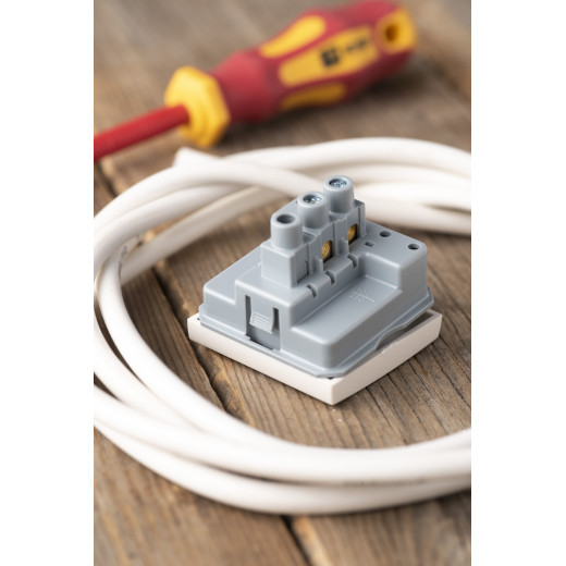 Выключатель 1-кл. 10А, без индикатора EKF