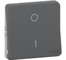 Schneider Electric Mureva Styl Антрацит Переключатель 2-полюсный, IP55