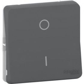 Schneider Electric Mureva Styl Антрацит Переключатель 2-полюсный, IP55