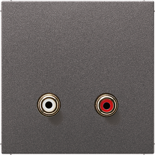 2x Cinch Audio (RCA)