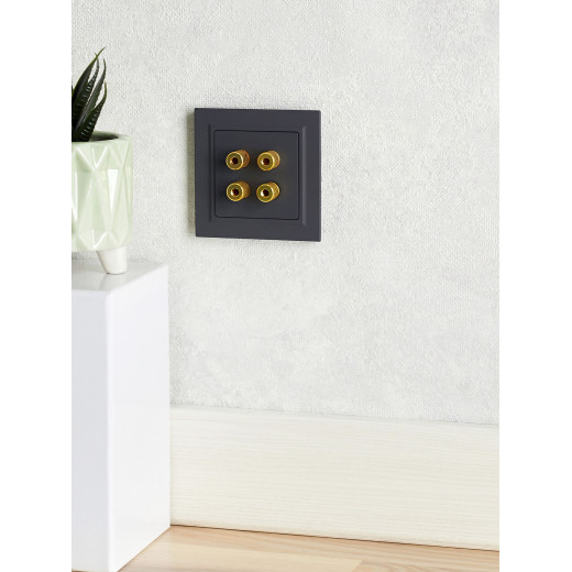 BRITE Аудиорозетка 4-мест. РА10-БрГ граф. IEK