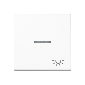 JUNG клавиша с символом 