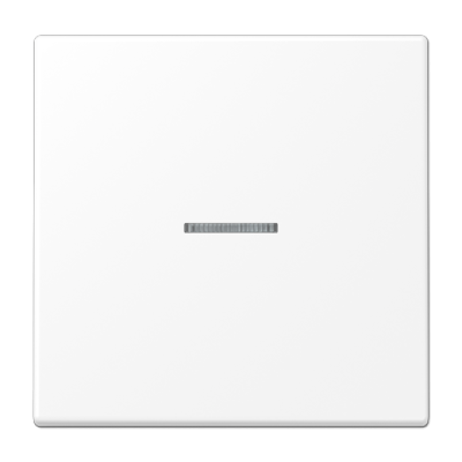 Клавиша для балансирных выключателей с окошком, дюропласт, белый матовый