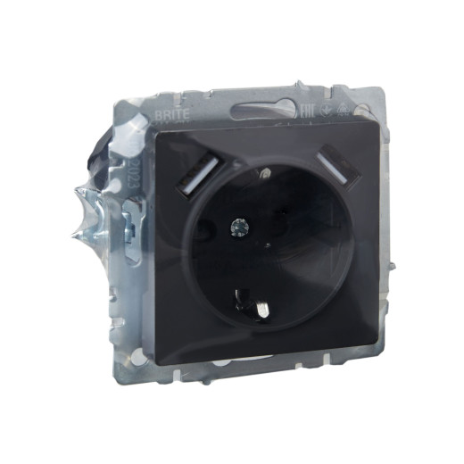 BRITE Роз. с з/к/ш 16А с USB A+A 3,1А РЮш10-2-БрГ граф. IEK