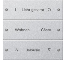 Gira Набор клавиш 3-местный,  ГРАВИРОВКА