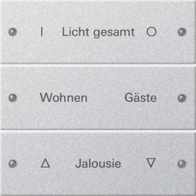 Gira Набор клавиш 3-местный,  ГРАВИРОВКА