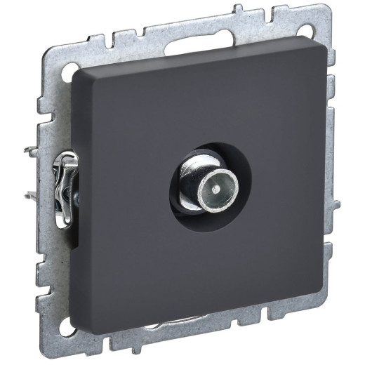 BRITE Роз. TV проходная РТВ10-0-БрГ граф. IEK