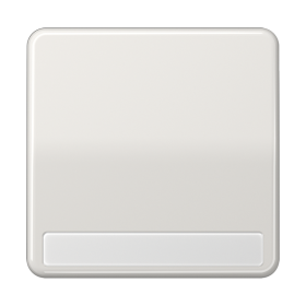 JUNG CD 500/CD plus Светло-серая Клавиша 1-ая с полем для надписи