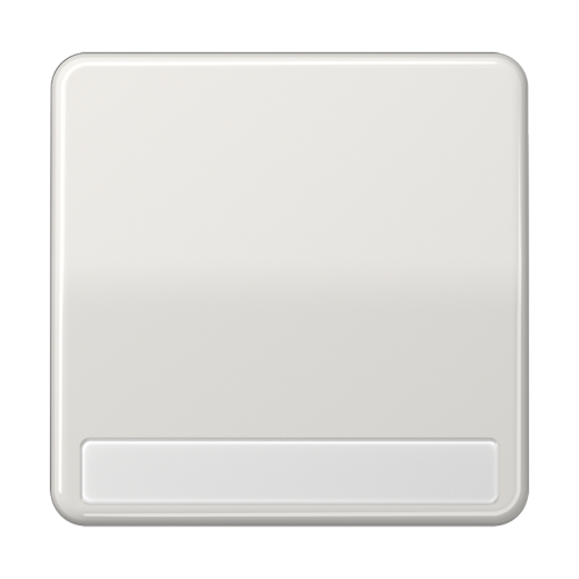 Клавиша для выключателя с полем для надписи, светло-серая
