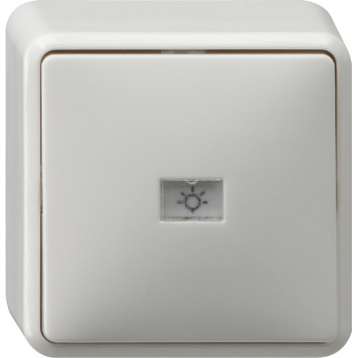 Кнопочный выключатель одноклавишный IP20