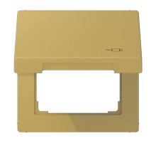 JUNG Рамка с подпружиненной крышкой для механизмов 50*50, с символом 