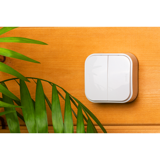 Выключатель двухклавишный - Legrand Quteo - IP20 10А 250В винтовые зажимы накладной монтаж - белый