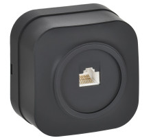 IEK GLORY Роз. комп. RJ45 кат.5E о/у РК10-ХЧм черн. м.