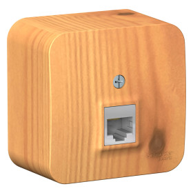 Systeme Electric Blanca наруж Ясень Розетка компьютерная RJ45, кат.5E, изолир. пластина