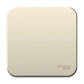 Systeme Electric Blanca наруж Молочный Выключатель 1-клавишный, 6А, 250В