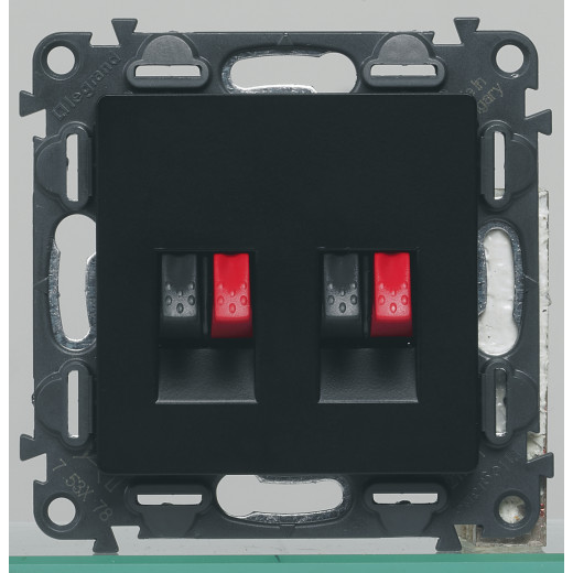 Valena IN'MATIC. Аудиорозетка с пружинными зажимами.Двойная.