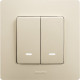 Выключатель двухклавишный с подсветкой/индикацией - Legrand Etika - 10А 250В безвинтовые зажимы - слоновая кость
