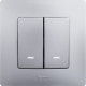 Выключатель двухклавишный с подсветкой/индикацией - Legrand Etika - 10А 250В безвинтовые зажимы - алюминий