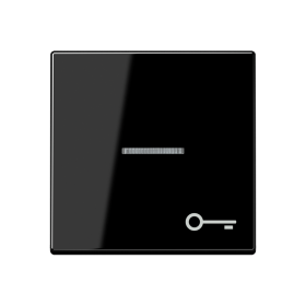 JUNG Клавиша с символом двери с подсветкой, чёрный